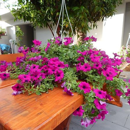 Apartments & Rooms Marinka Zadar Luaran gambar